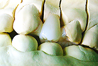 ＺＲ インレーブリッジ