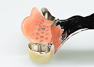 フリクションピンテレスコープ　Co-Crコーヌス+フリクション+床緩衝付